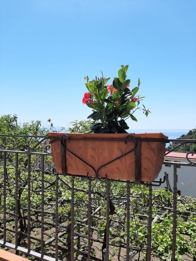 Casa Almary Daire Amalfi Dış mekan fotoğraf
